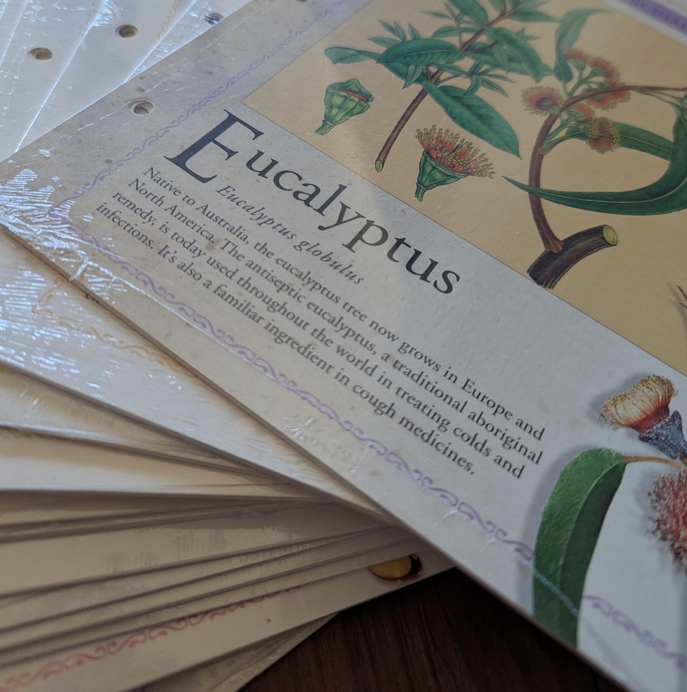 Alternative Therapies Herbal Medicine Pages - Picture 4 of 4
